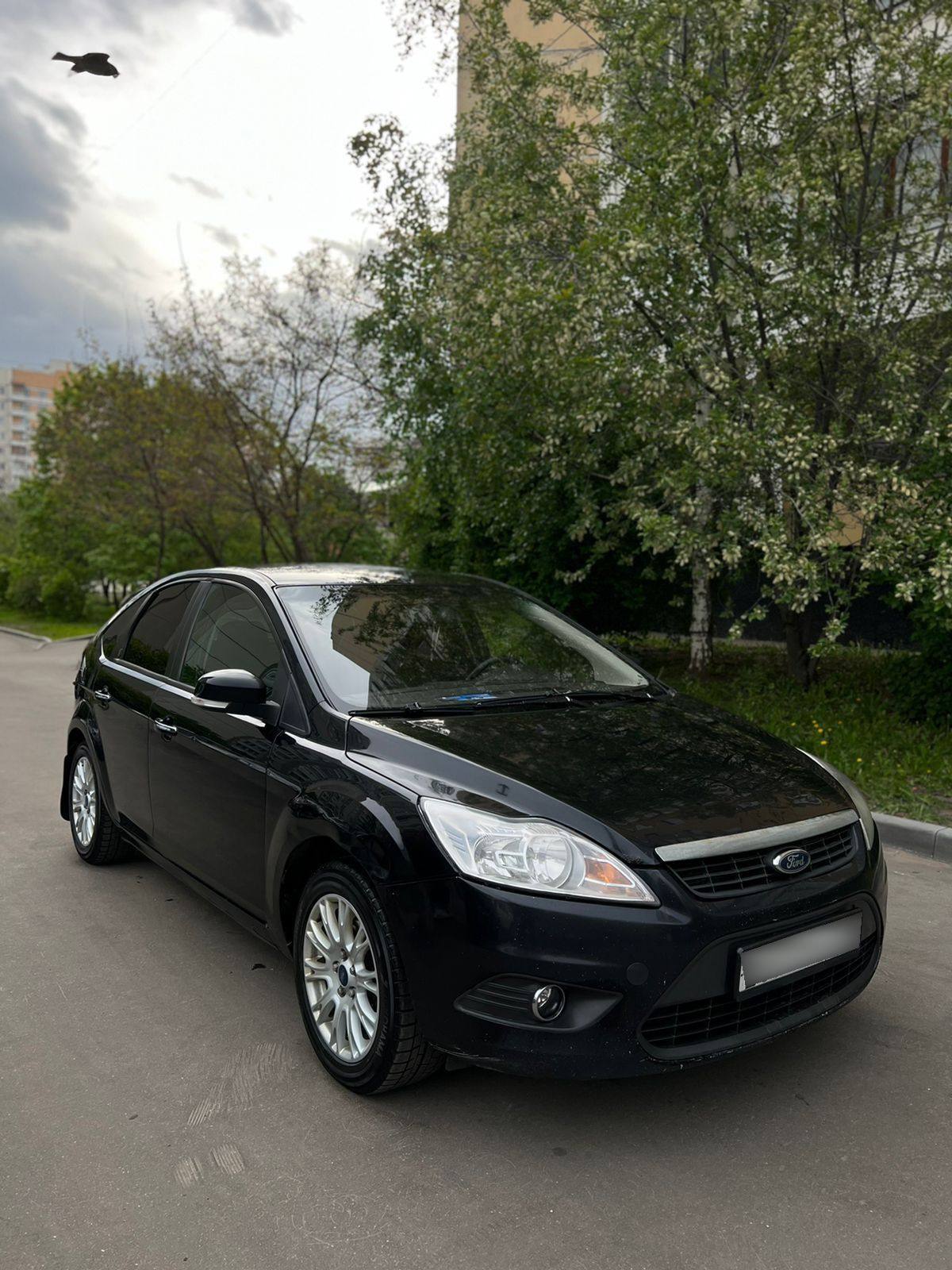 Купить Ford Focus II Рестайлинг хэтчбек 5 дв., 2010 года, цвет: Черный, за  645000 руб. в Санкт-Петербурге